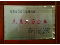 先進(jìn)民營(yíng)企業(yè)