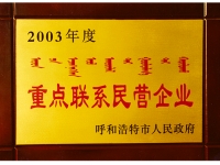 重點(diǎn)民營(yíng)企業(yè)