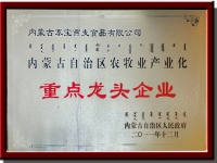 自治區農牧業(yè)龍頭企業(yè)